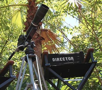 Filming in The Bahamas